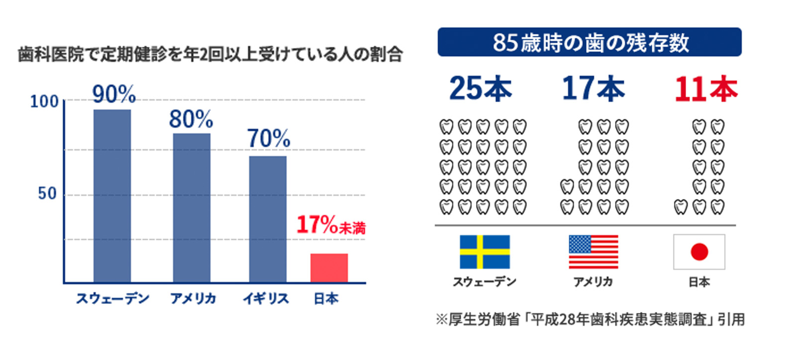 ８５歳で２５本も歯が残っているスウェーデン